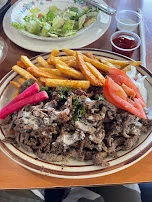 Chicken Gyro w Fries